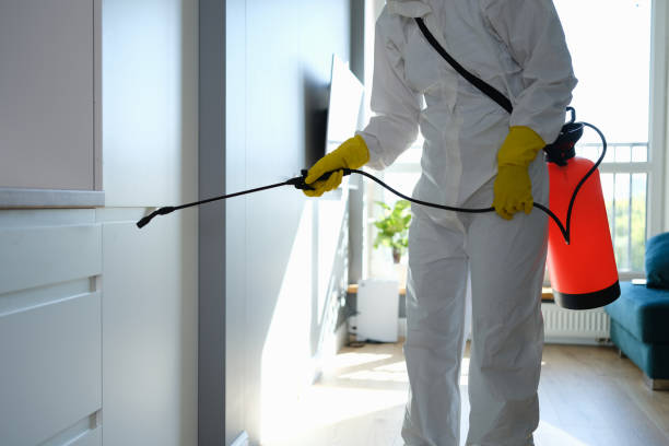 Best Health and Safety Mold Remediation in La Conner, WA