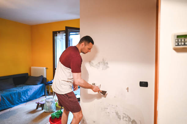 Best Mold Remediation for Specific Building Types in La Conner, WA